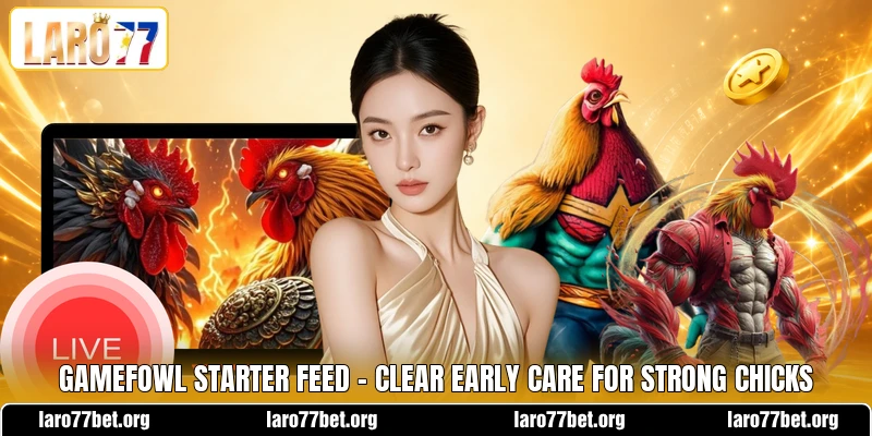 Gamefowl Starter Feed - Clear Early Care For Strong Chicks Gamefowl Starter Feed - Clear Early Care For Strong Chicks