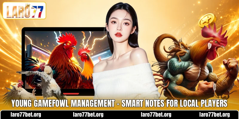 Young Gamefowl Management - Smart Notes For Local Players Young Gamefowl Management - Smart Notes For Local Players